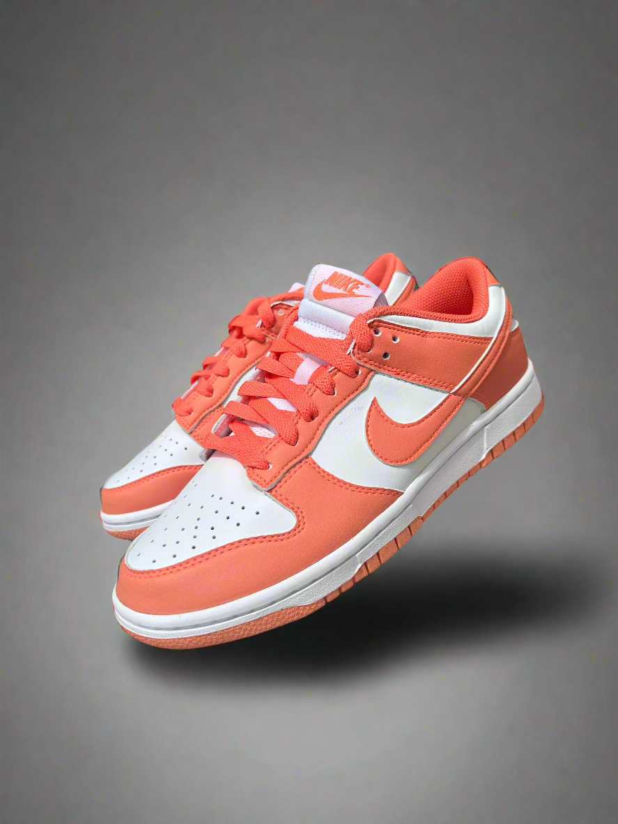 women nike DD1873109