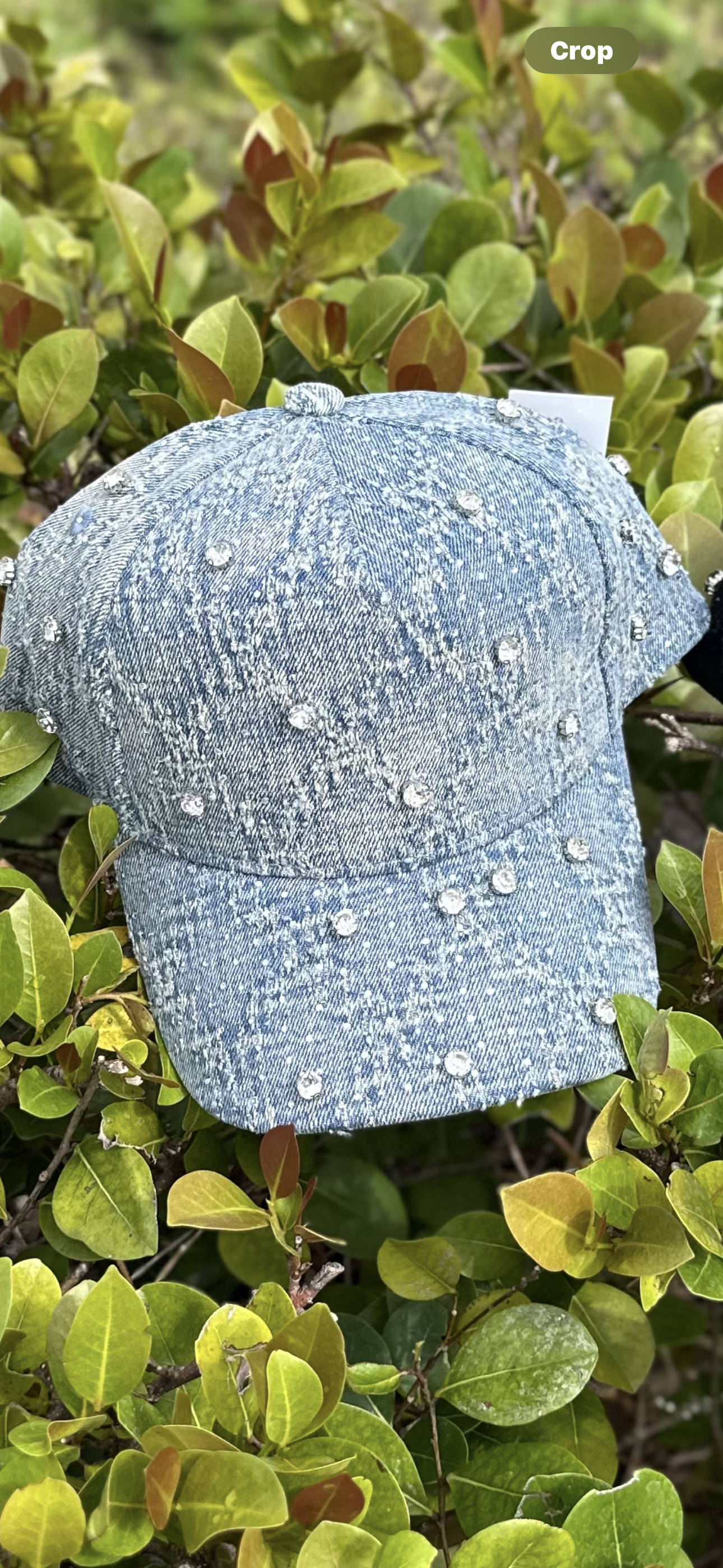 VICIOUS Studs Hat 'Blue'