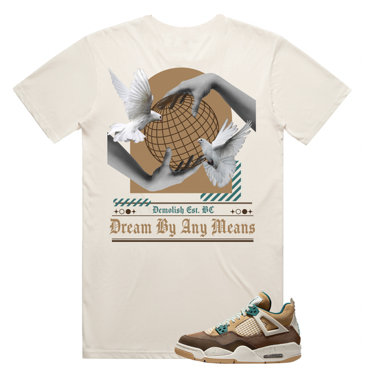 Dream Any Means Tee (Natural/ Teal/Brown)