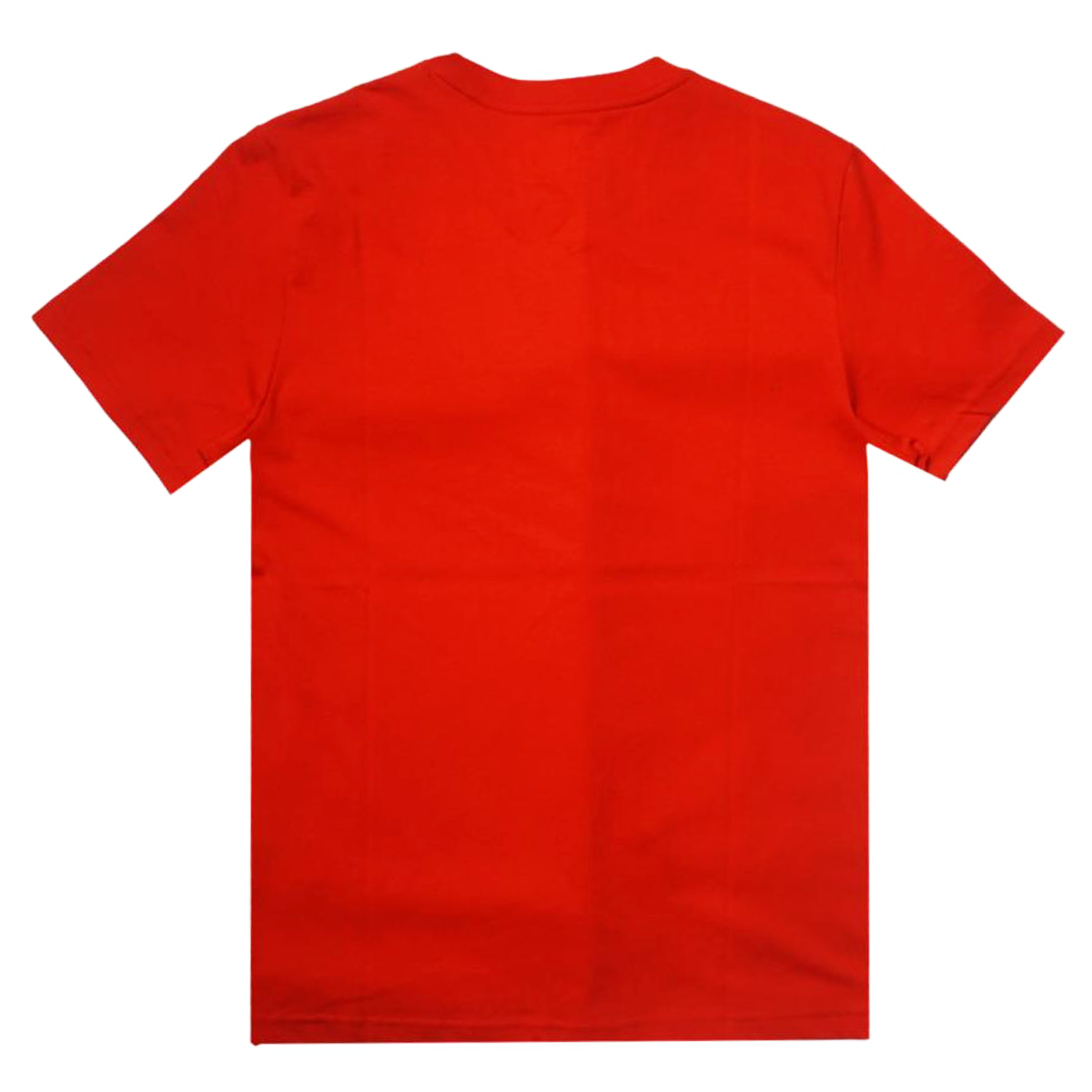 Warner Graphic Tee (Red Spice) /D15